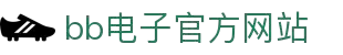 BB电子·(中国官方版)让电子触手可及